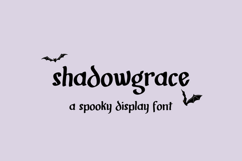 Shadowgrace Display Font Font Beck McCormick 