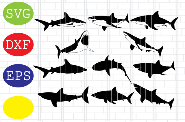 Shark Silhouette, White Shark Svg, Shark clipart Svg, Jpg, Eps, Dxf Files SVG DigitalSvgFiles 