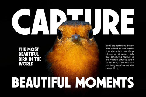 Shawkind - Display Font Font Arterfak Project 