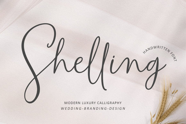 Shelling Script Font Rastype 