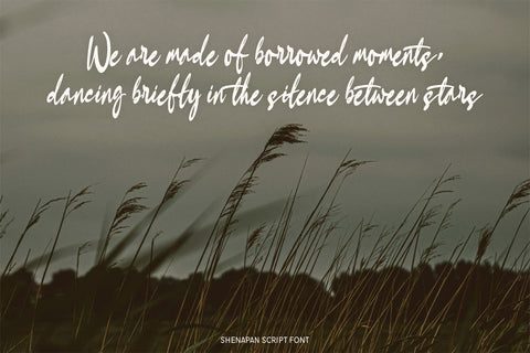 Shenapan Script Font muhammadzeky 