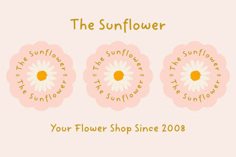 Shepherd Font Cotton White Studio 