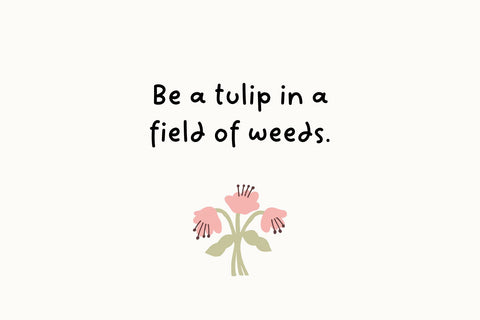 Shepherd Font Cotton White Studio 