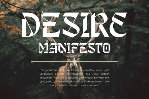 Shingeku – Modern Blackletter Font Arterfak Project 