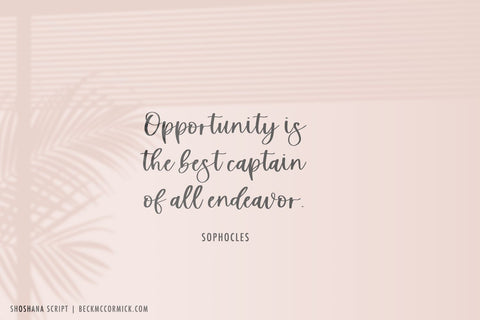 Shoshana Script Font Beck McCormick 