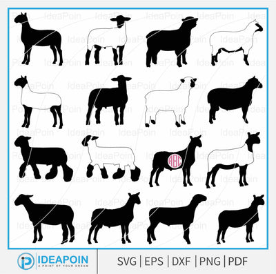 Show Sheep svg, Show Lamb SVG, Show Sheep Outline, Show Animal PNG, Show Sheep Monogram, Market Lamb Silhouette, Livestock Show svg SVG Dinvect 