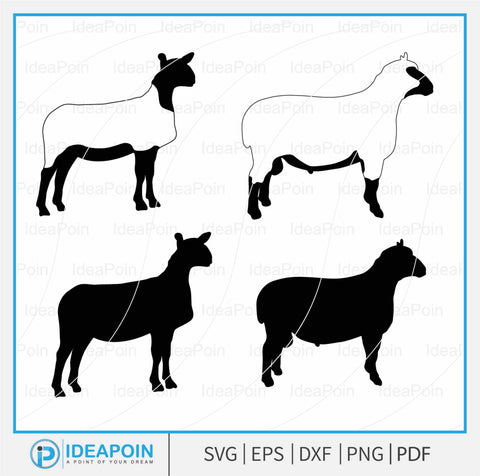 Show Sheep svg, Show Lamb SVG, Show Sheep Outline, Show Animal PNG, Show Sheep Monogram, Market Lamb Silhouette, Livestock Show svg SVG Dinvect 