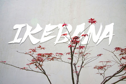 Shuriken Font BB Digital Arts 