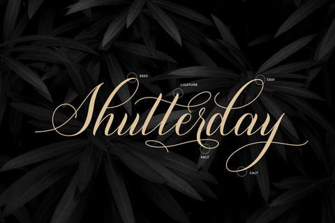 Shutterday Calligraphy Script Font Heinzel Studio 