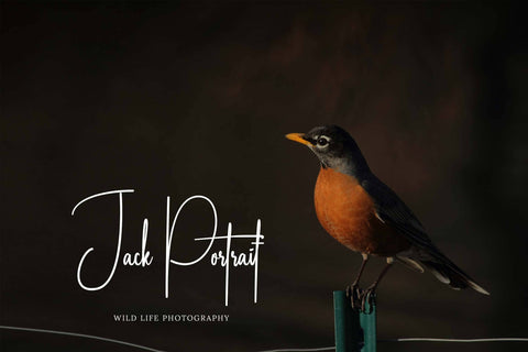 Shutterspeed Font LetterdayStudio 