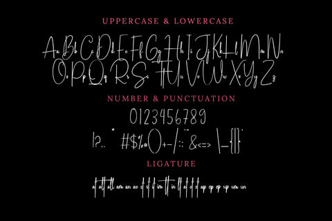 Shutterspeed Font LetterdayStudio 