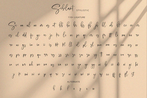 Sibilant - Handwritten Font Font Alpaprana Studio 
