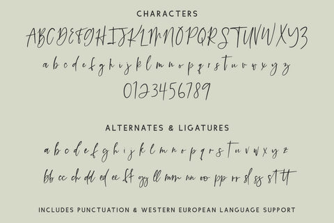 Sierra Gorge Script Font Beck McCormick 