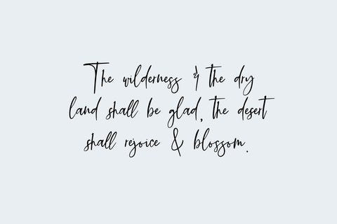 Sierra Gorge Script Font Beck McCormick 