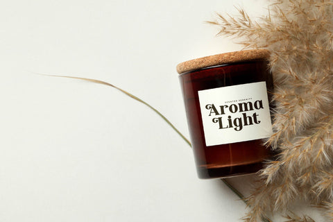 Silenta Vintage - Alternate Serif Font Font Letterena Studios 