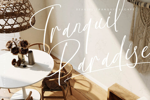 Silentone Barcelona - Modern Script Font Font Letterena Studios 