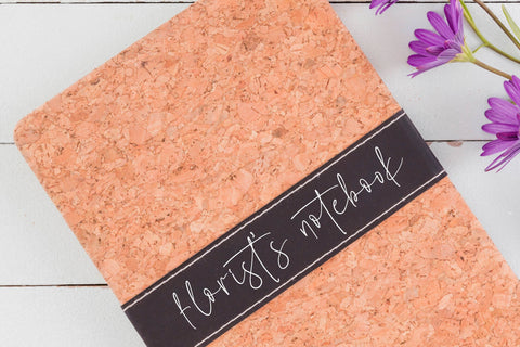 Sillento Nighters - Beautiful Script Font Font Letterena Studios 