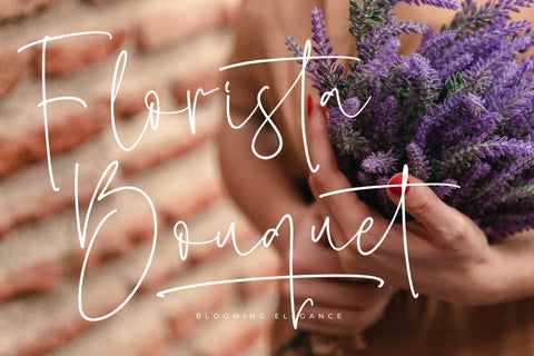 Sillento Nighters - Beautiful Script Font Font Letterena Studios 