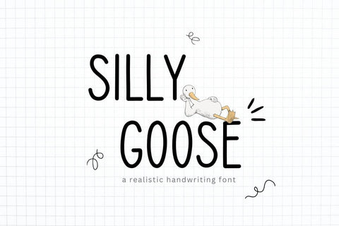 Silly Goose - Neat Handwriting Font Font ChiraaDesign 