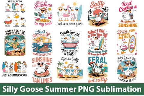 Silly Goose Summer PNG Sublimation SVG Svgcraft 