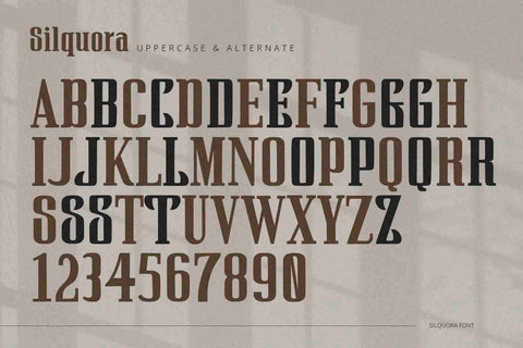 Silquora - Serif Font Font Alpaprana Studio 