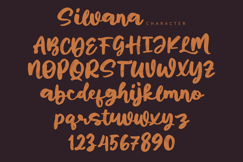 Silvana - Script Font Font Alpaprana Studio 