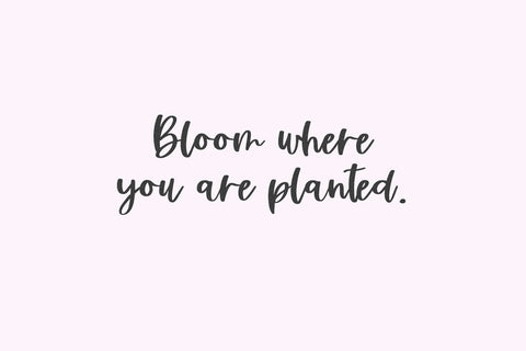 Silver Birch Script Font Beck McCormick 