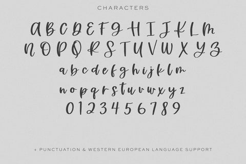 Silver Birch Script Font Beck McCormick 