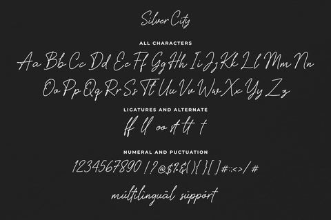 Silver City Handwritten Font Font Heinzel Studio 