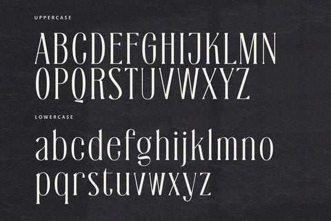 Silveridge - Serif Font Font Alpaprana Studio 