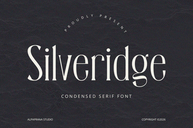 Silveridge - Serif Font Font Alpaprana Studio 