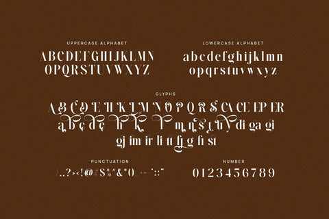 Simlong - Elegant Serif Font Font studioalmeera 