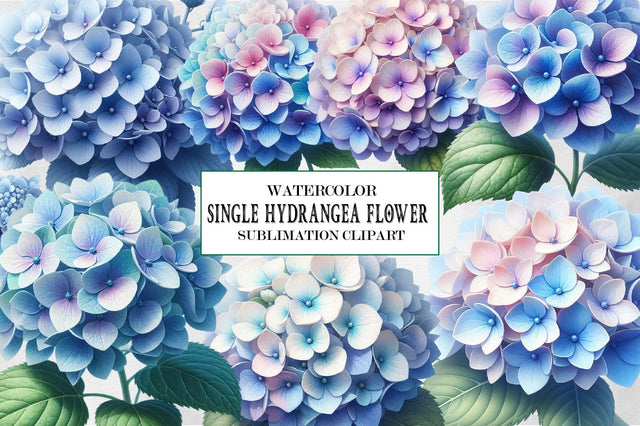 Single Hydrangea Flower Clipart Sublimation SVGista 