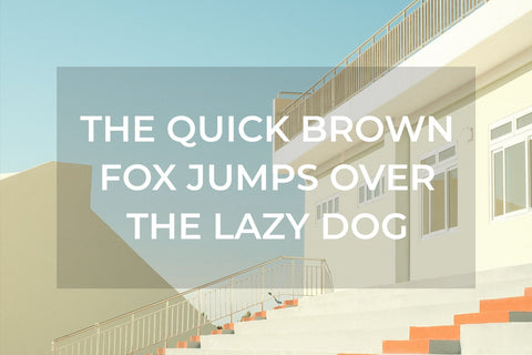 Single Memory - Modern Sans Serif Font studioalmeera 