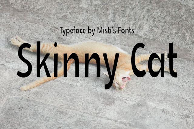 Skinny Cat Font Misti's Fonts 