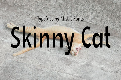 Skinny Cat Font Misti's Fonts 