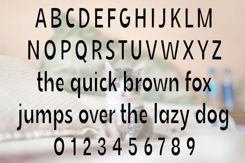 Skinny Cat Font Misti's Fonts 