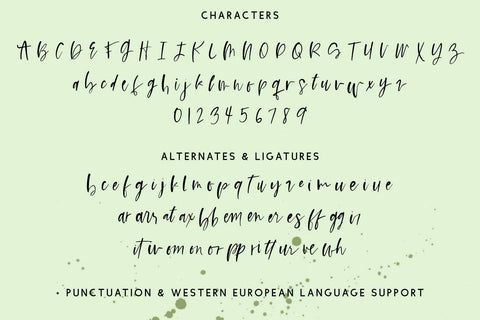 Slainte Script Font Beck McCormick 