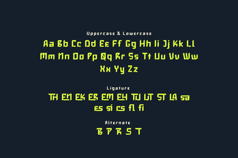Slaxing - Sporty Display Font Font twinletter 