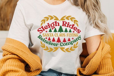 Sleigh rides santa claus flying reindeer company SVG Angelina750 