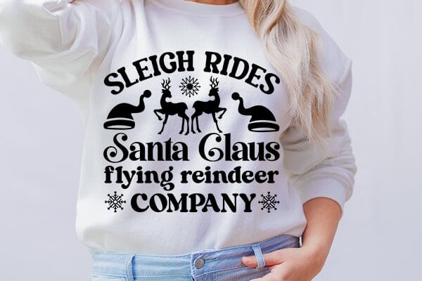 Sleigh rides santa claus flying reindeer company SVG Angelina750 