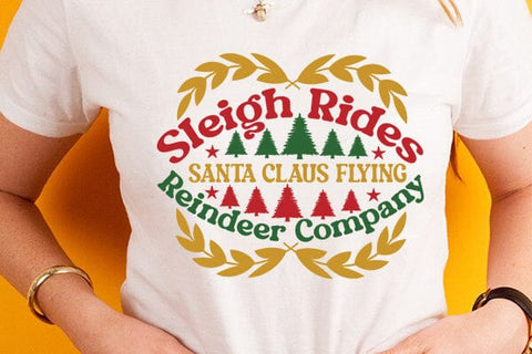Sleigh rides santa claus flying reindeer company SVG Angelina750 