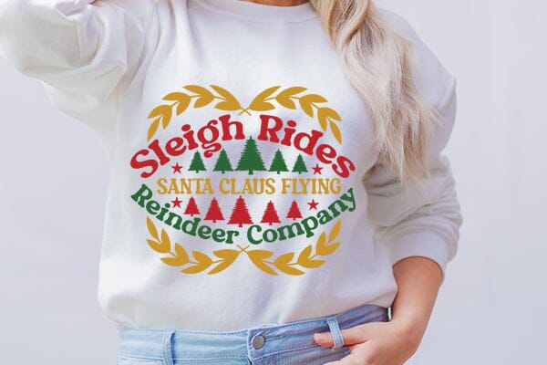 Sleigh rides santa claus flying reindeer company SVG Angelina750 