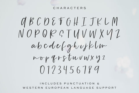 Small Things Script Font Beck McCormick 