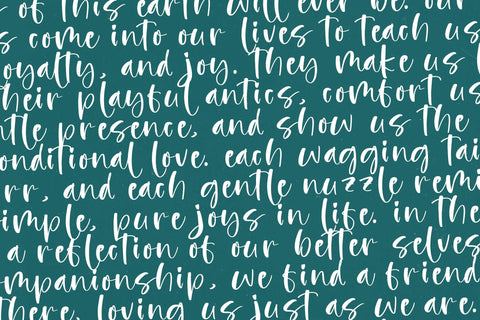 Smiling Kittens - Modern Handwritten Font Font Letterena Studios 