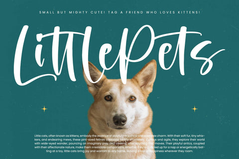 Smiling Kittens - Modern Handwritten Font Font Letterena Studios 