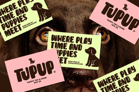 SNACKY MEOW Font Mozarella 