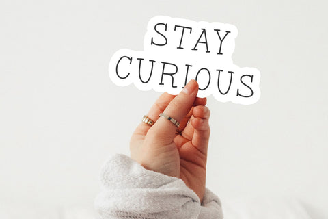 Snapdragon Serif Font Font Beck McCormick 