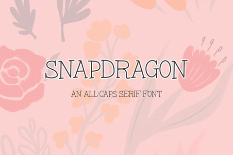 Snapdragon Serif Font Font Beck McCormick 