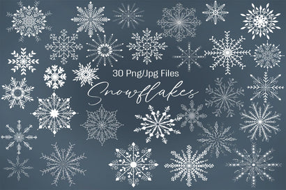 Snowflake Bundle Winter printable Sublimation Willow Paige Farms 